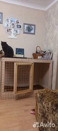 Клетка для собак