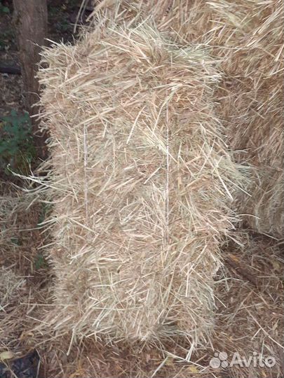 Сено луговое в рулонах