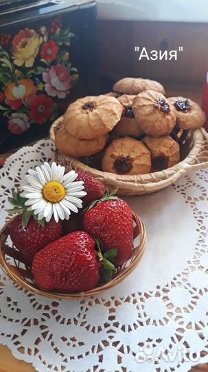 Осень. Саженцы сортовой клубники