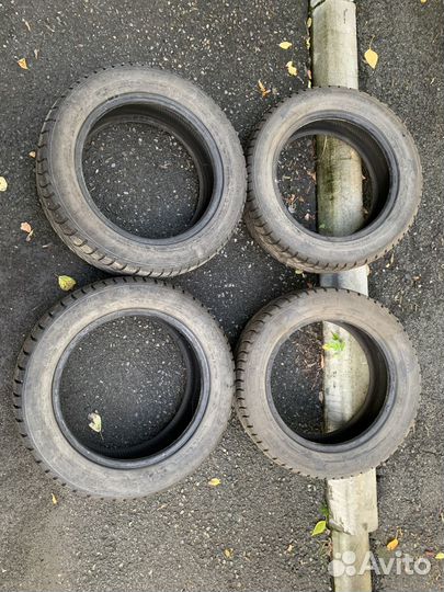 Gislaved Nord Frost 5 205/55 R16 19H