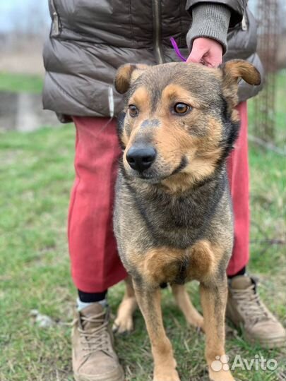 Хороший но не нужный никому