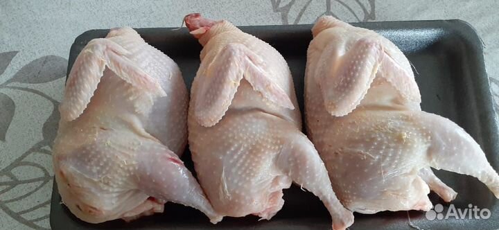 Мясо перепела