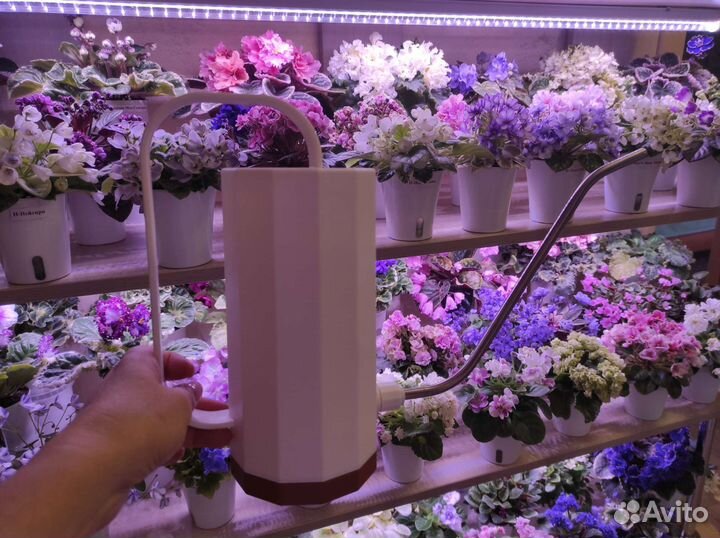 Лейка для цветов