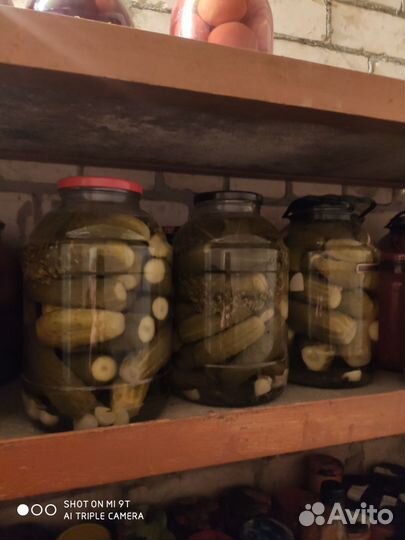 Продажа соленые огурцы помидоры
