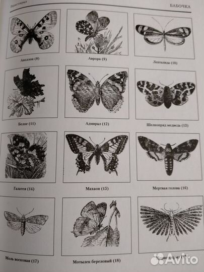 Книга-альбом 