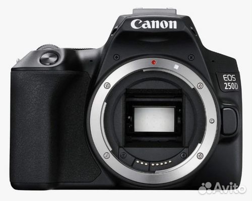 Фотоаппарат Canon EOS 250D Body