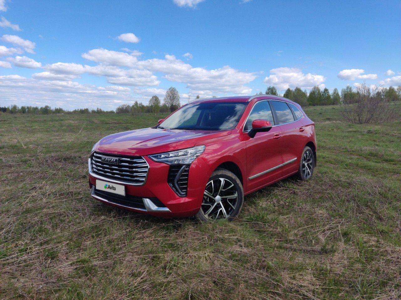 HAVAL Jolion: фото владельца