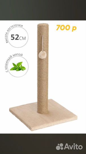 Когтеточка