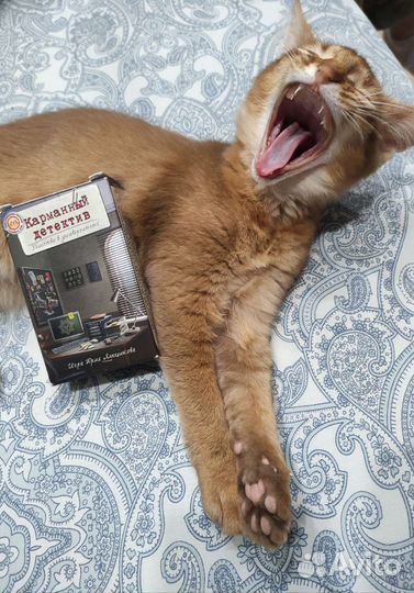 Карманный детектив 