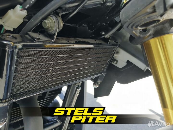 Мотоцикл MotoLand MT250