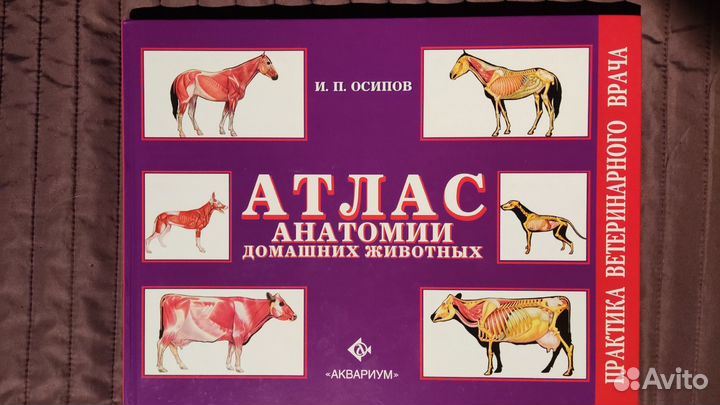 Атлас анатомии домашних животных. Осипов И.П
