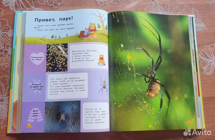 Детская энциклопедия