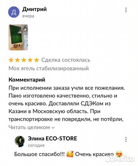 Панно из мха с логотипом