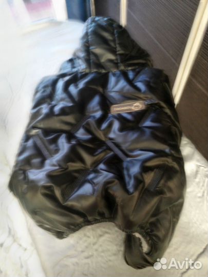 Комбинезон для маленькой собаки