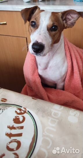 Кабель для вязки