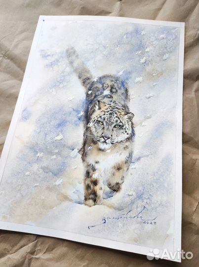 Картина снежный барс ирбис. Картина хищник