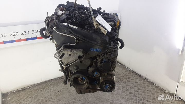 Двигатель Skoda Octavia cxxb 1.6 литра дизель