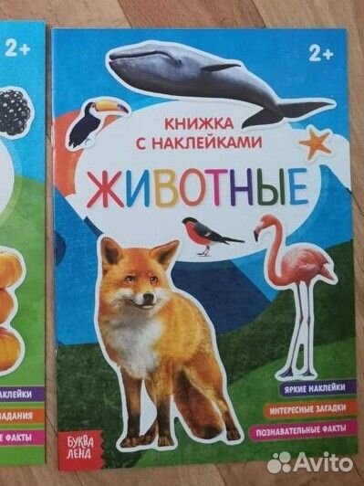 Детские развивающие книжки для малышей. Новые