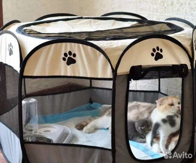 Домик для кошки окатилась кошка