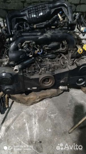 Двигать Субару Форстер 255