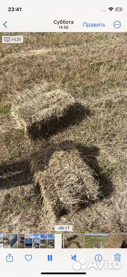 Сено луговое в тюках