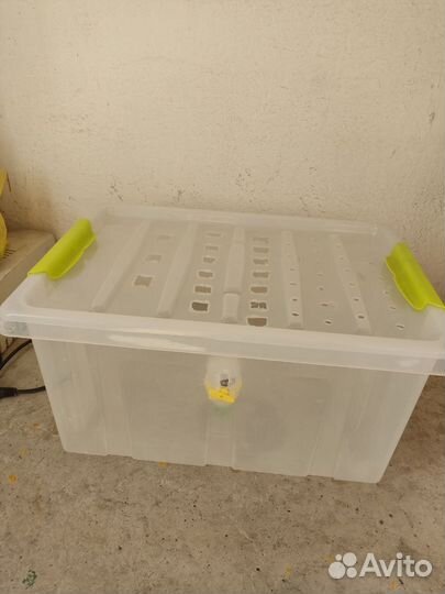 Контейнер для грызунов