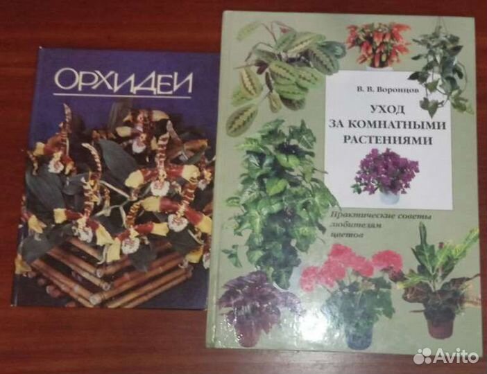 Комнатные растения