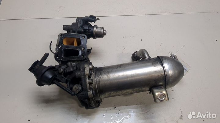 Охладитель отработанных газов Ford Transit (Tourne