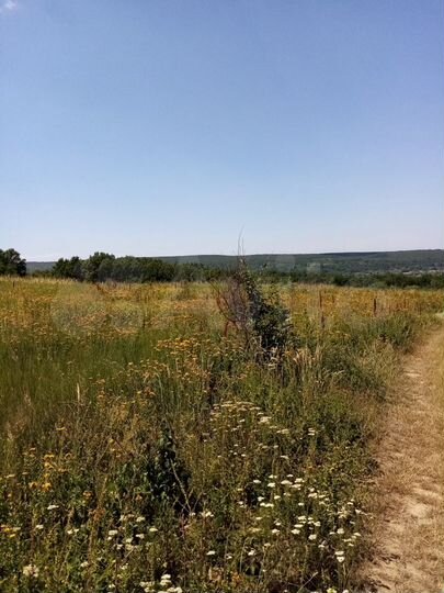 Участок 3,13 га (СНТ, ДНП)