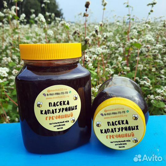 Алтайский гречишный мед (сбор 2023)