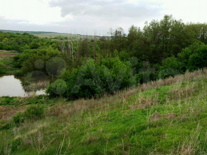 Участок 2 га (СНТ, ДНП)