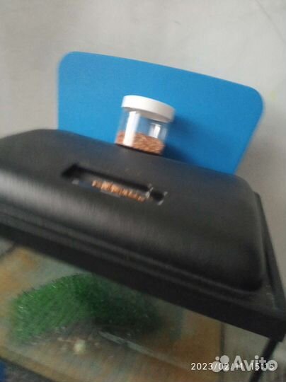 Красноухая черепаха с аквариумом