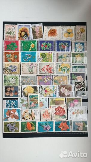 Обмен марок