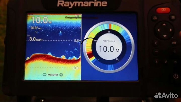 Raymarine