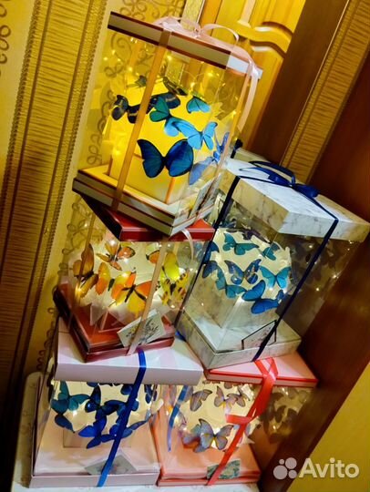 Удивительный подарок-ночник-бабочки в аквариуме