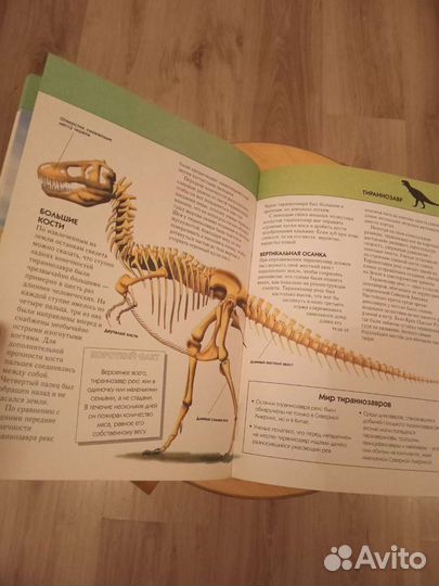 Энциклопедия