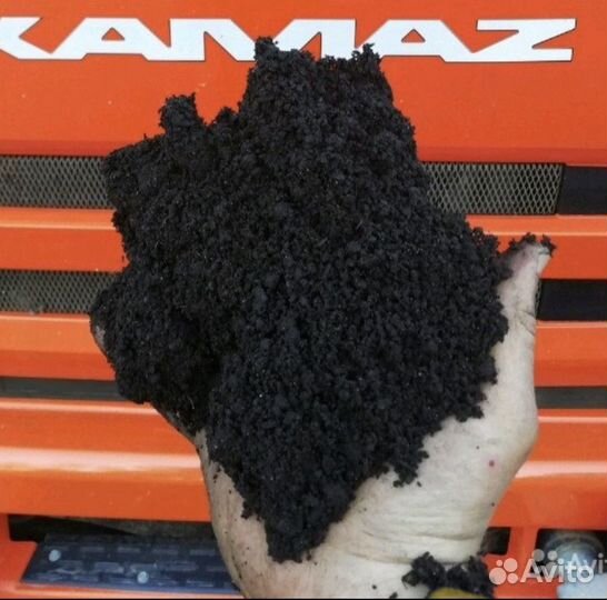 Чернозём пушистый