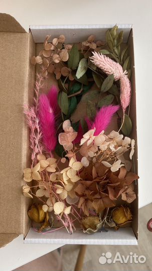 Сухоцветы для творчества