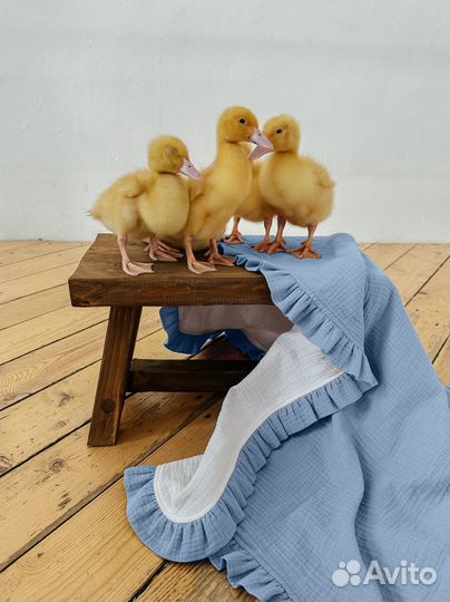 Детский плед с рюшами Небесно-голубой