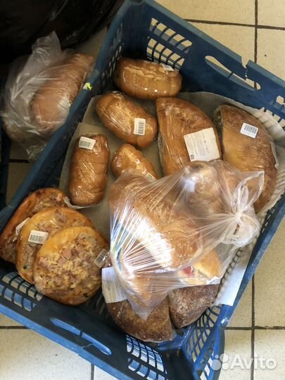 Корм для животных