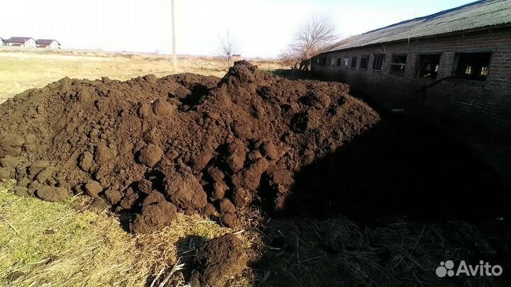 Чернозем