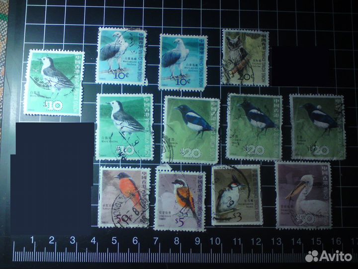 Почтовые марки с птицами Гонконг