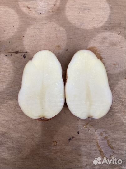 Картофель сортовой