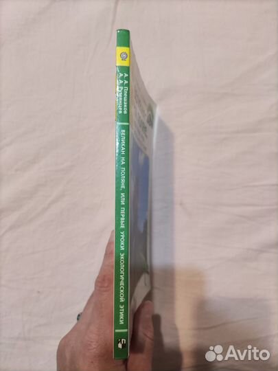 Великан на поляне.А А.Плешаков