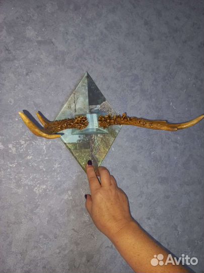 Рога косули