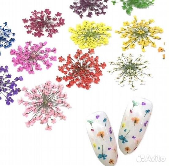 Сухоцветы для дизайна ногтей
