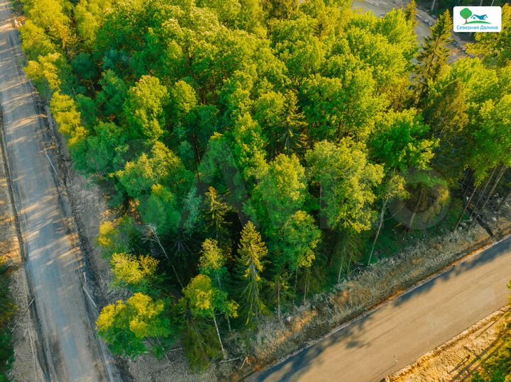 Участок 12 сот. (СНТ, ДНП)