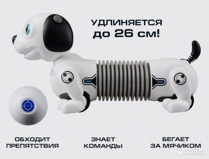 Интерактивная собака Дэкел ycqo