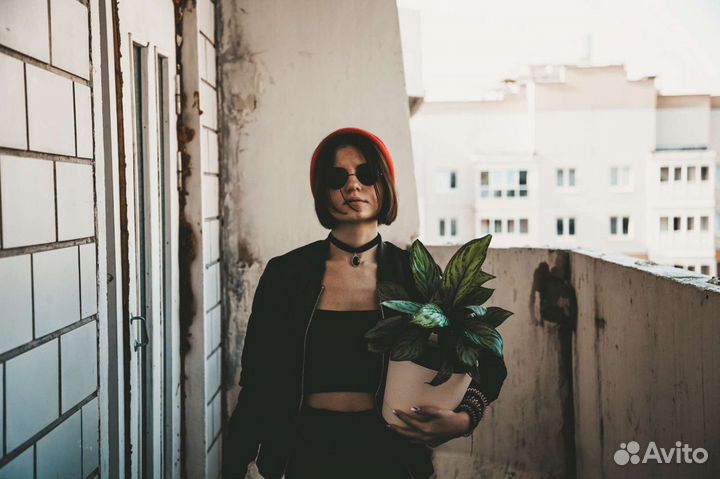 Фотограф Санкт-Петербург