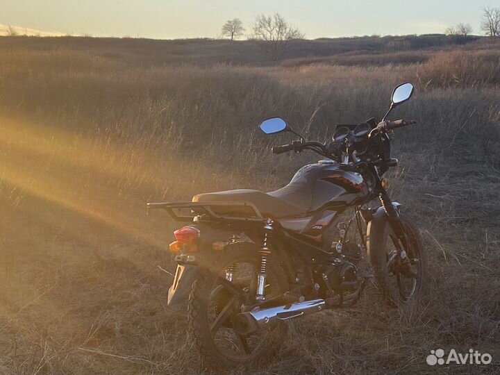 Мопед Alpha fx max 125(50)